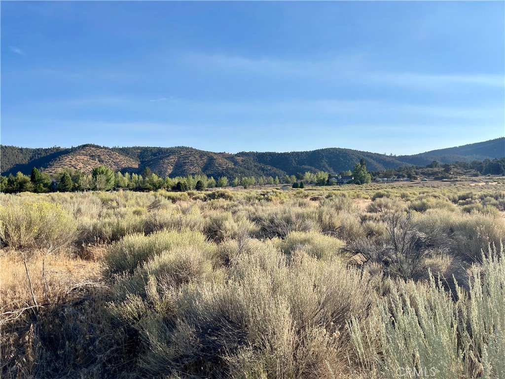 MLS #SR25195584 image #0