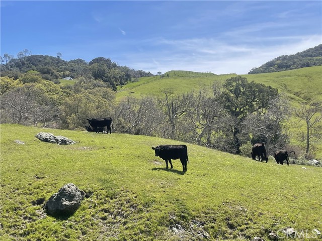 MLS #SR25196220 image #30