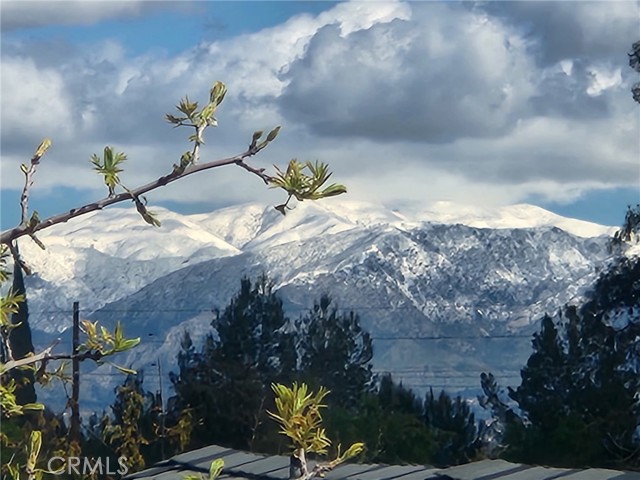 MLS #SR25196557 image #39