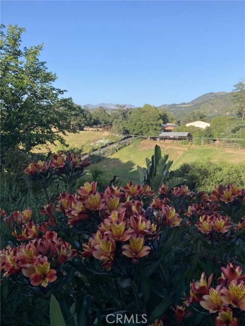 MLS #SR25196612 image #12