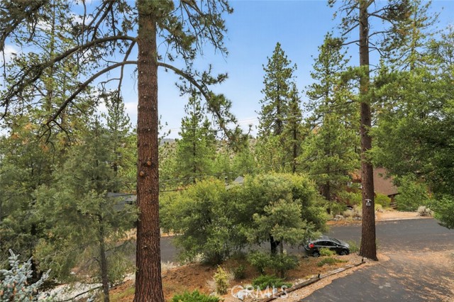 MLS #SR25197869 image #3