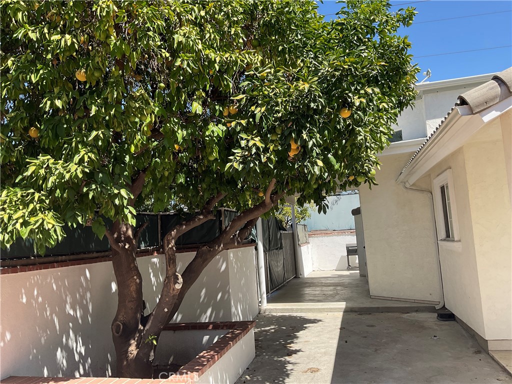 MLS #SR25199677 image #8