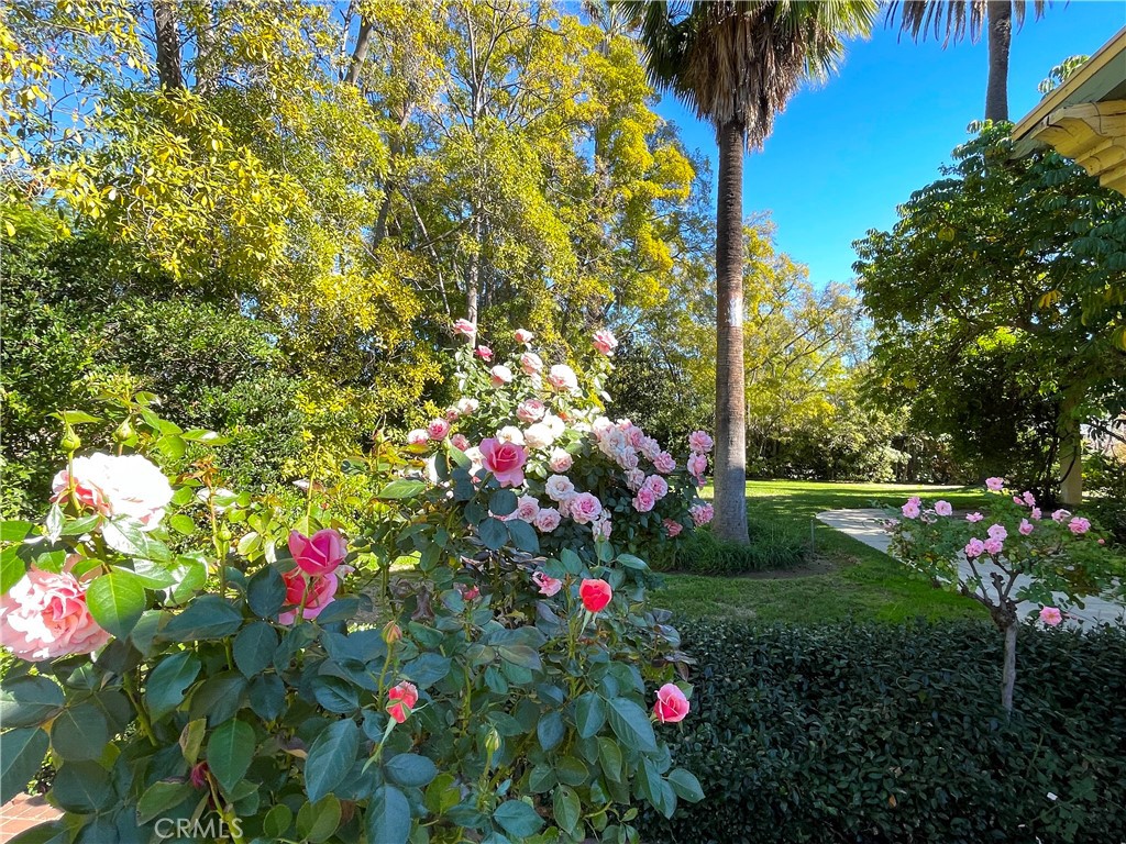 MLS #SR25200378 image #48