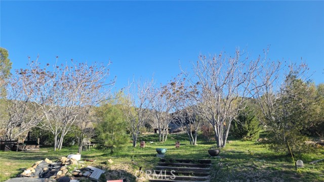 MLS #SR25201188 image #5