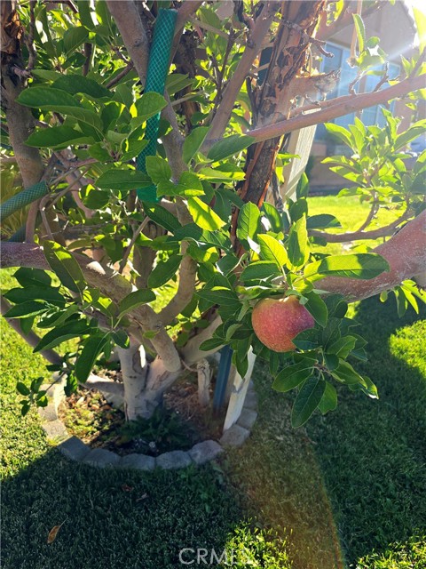 MLS #SR25201262 image #16