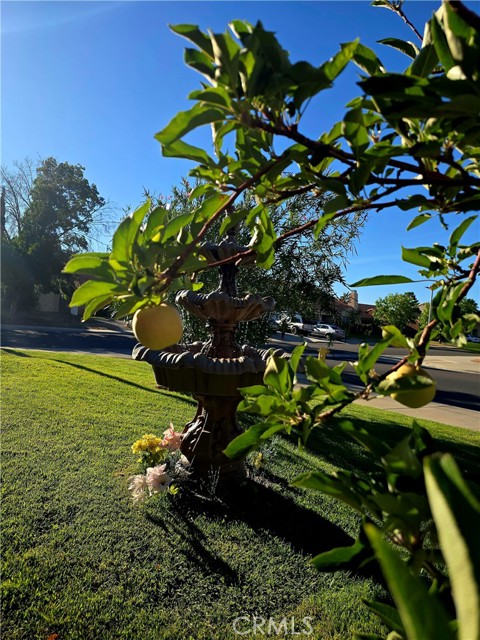 MLS #SR25201262 image #3