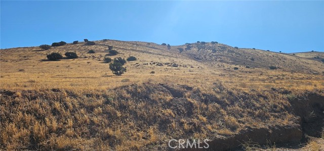 MLS #SR25202411 image #2