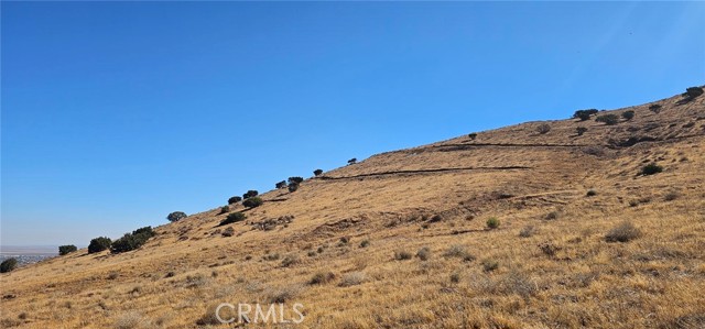 MLS #SR25202411 image #5