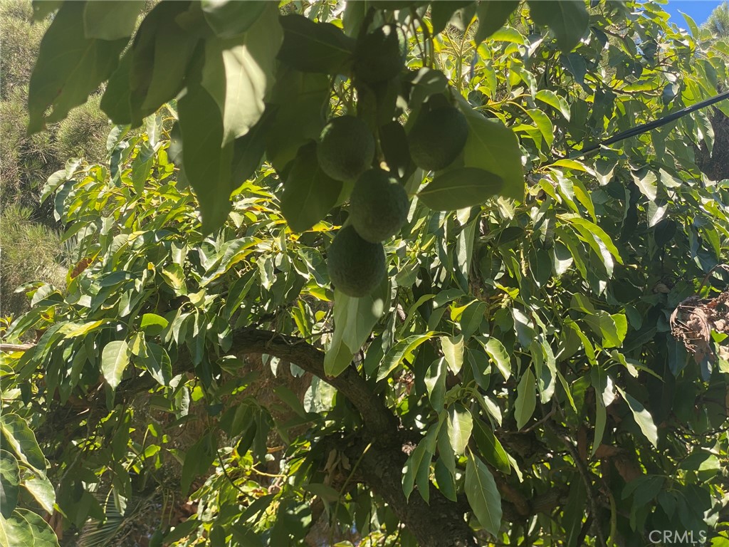 MLS #SR25204026 image #31