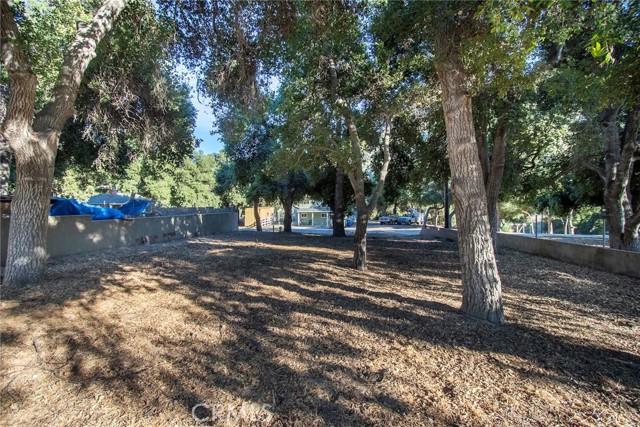 MLS #SR25206139 image #11