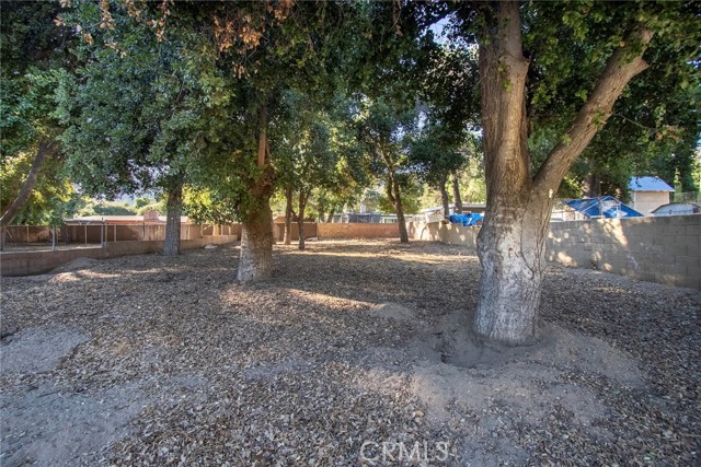 MLS #SR25206139 image #3