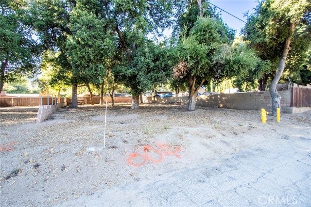 MLS #SR25206139 image #5