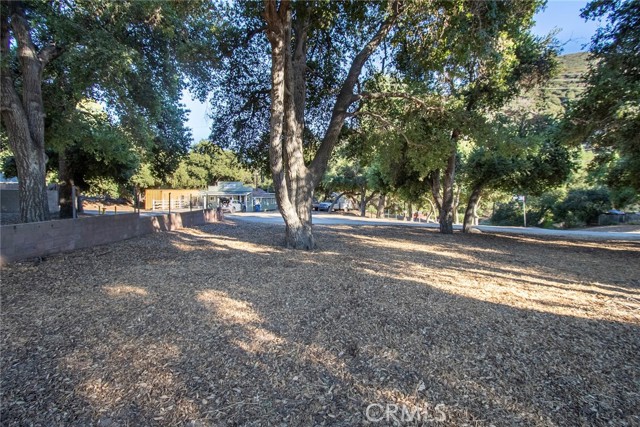 MLS #SR25206139 image #9