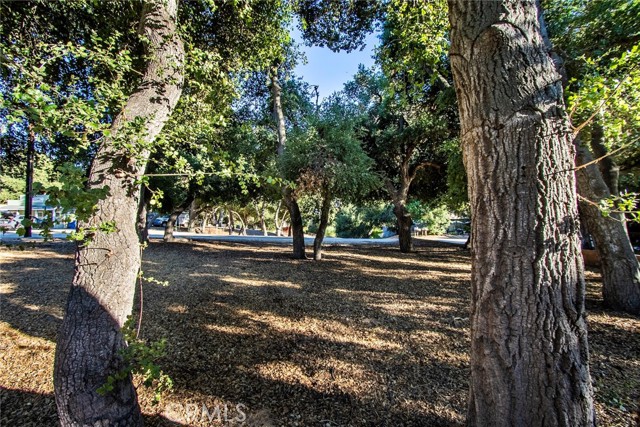 MLS #SR25206141 image #10