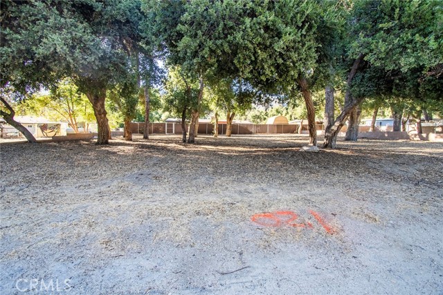 MLS #SR25206141 image #5