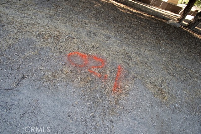 MLS #SR25206141 image #8