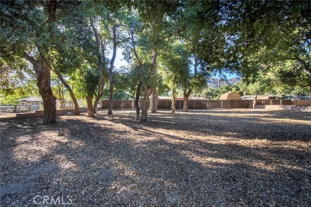 MLS #SR25206141 image #9