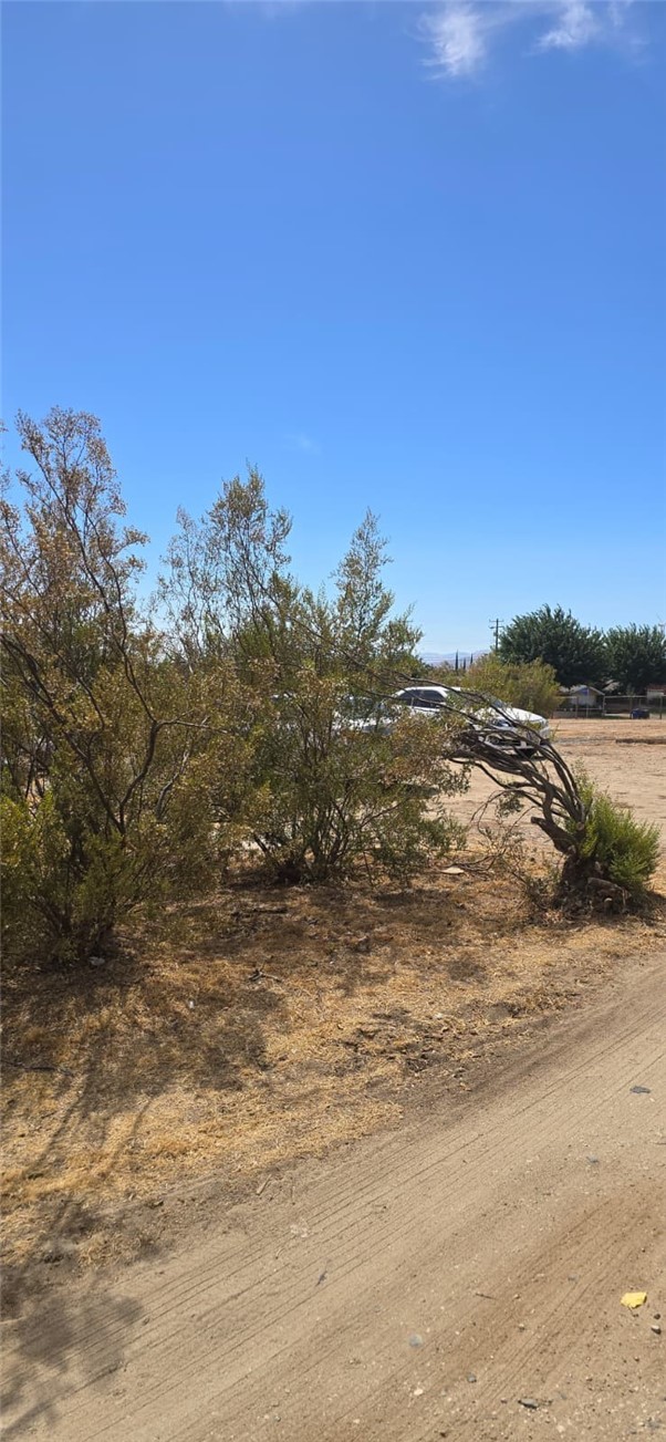 MLS #SR25207593 image #19
