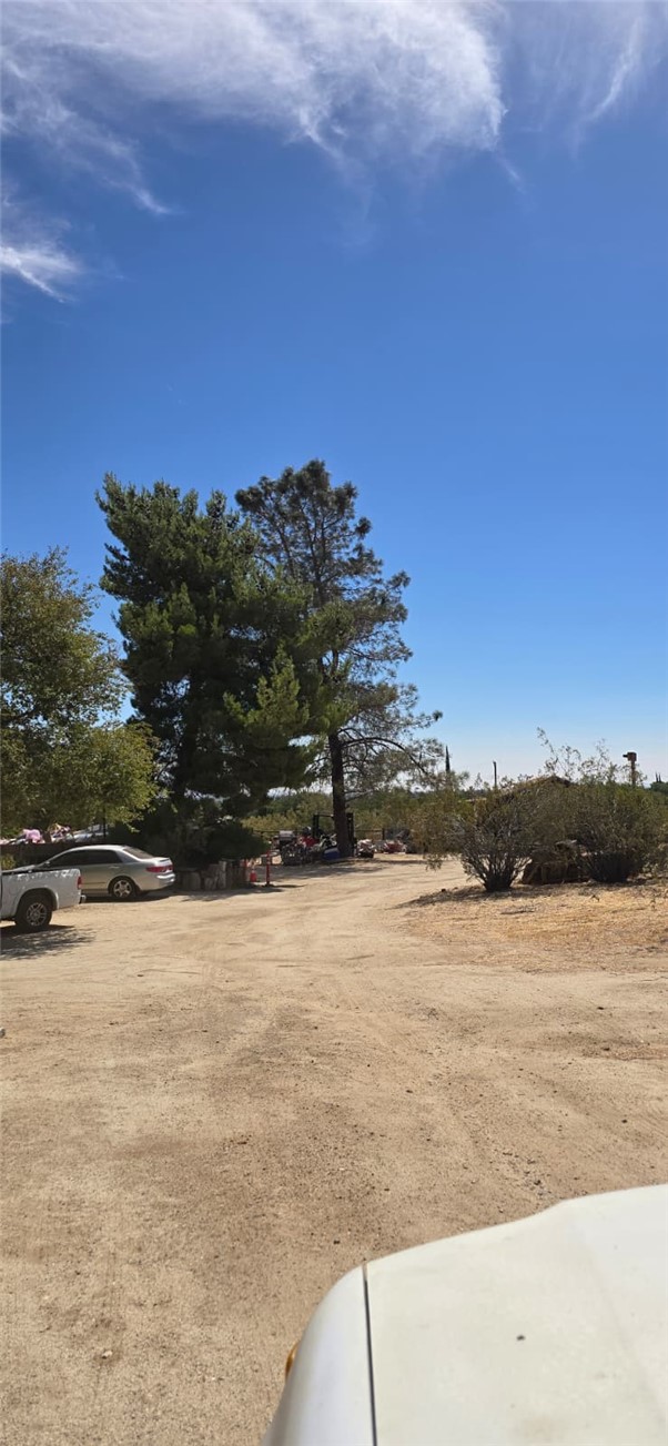 MLS #SR25207593 image #8