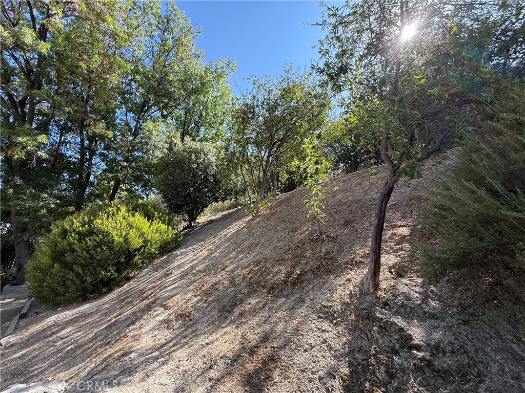 MLS #SR25214790 image #7