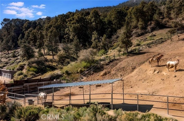 MLS #SR25214847 image #56