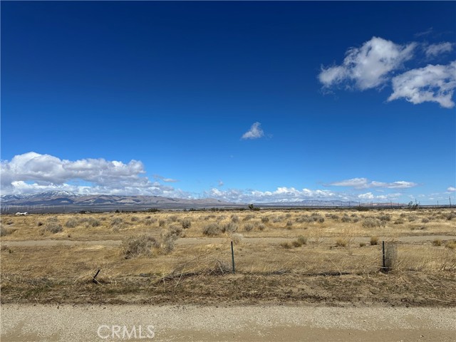 MLS #SR25215129 image #4