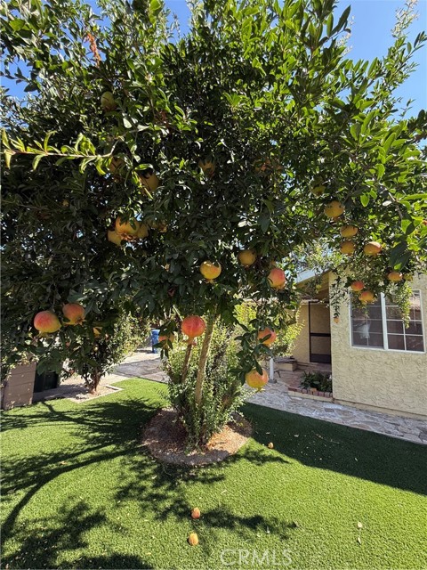 MLS #SR25216342 image #24