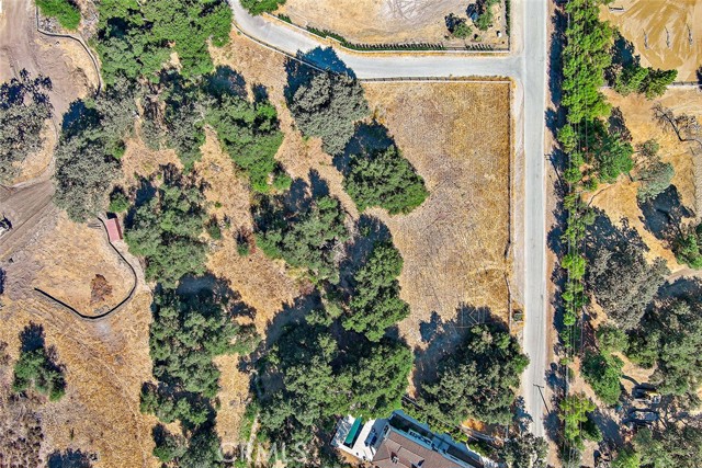 MLS #SR25216691 image #7