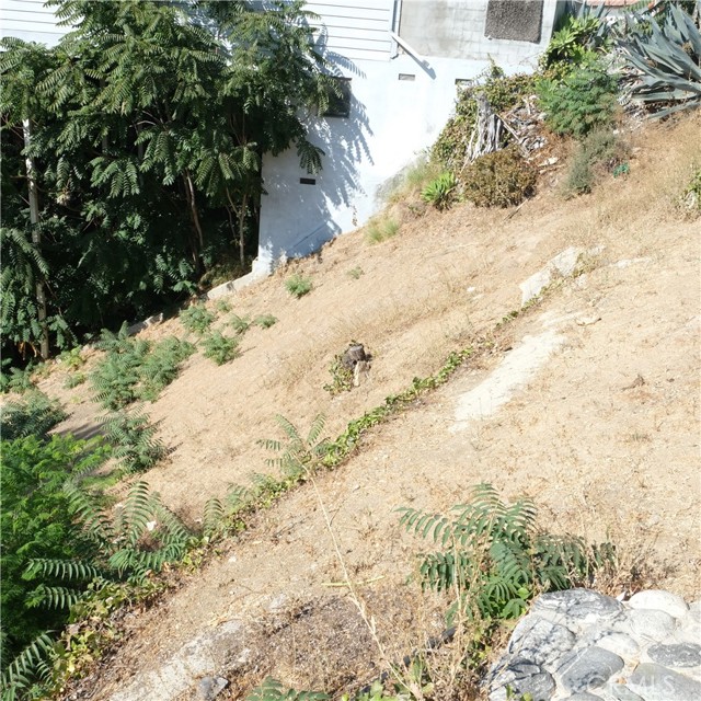 MLS #SR25217963 image #1