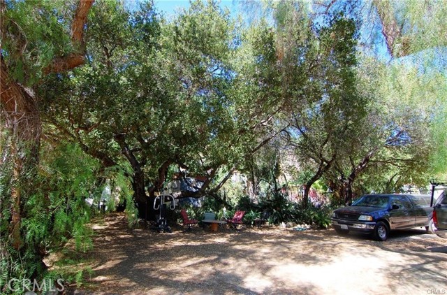 MLS #SR25218586 image #9