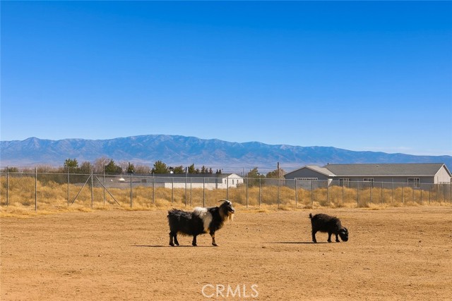 MLS #SR25219874 image #22