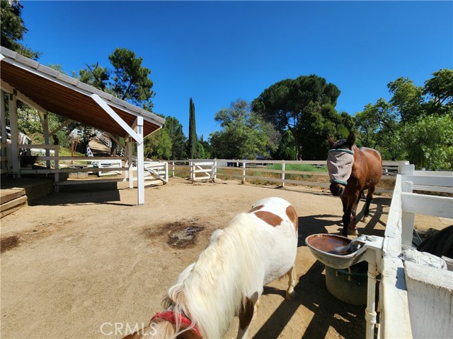 MLS #SR25220328 image #21