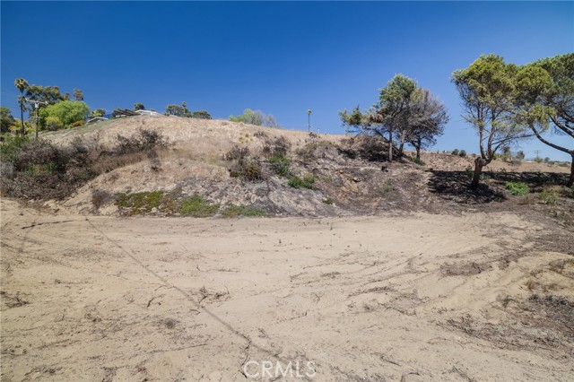 MLS #SR25220619 image #4