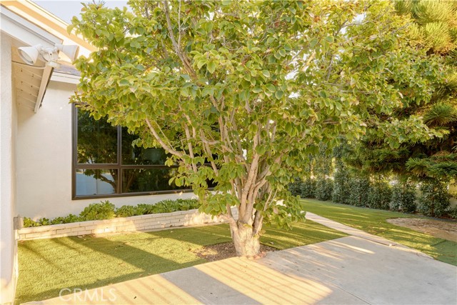 MLS #SR25222763 image #4