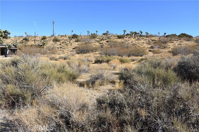 MLS #SR25223222 image #3