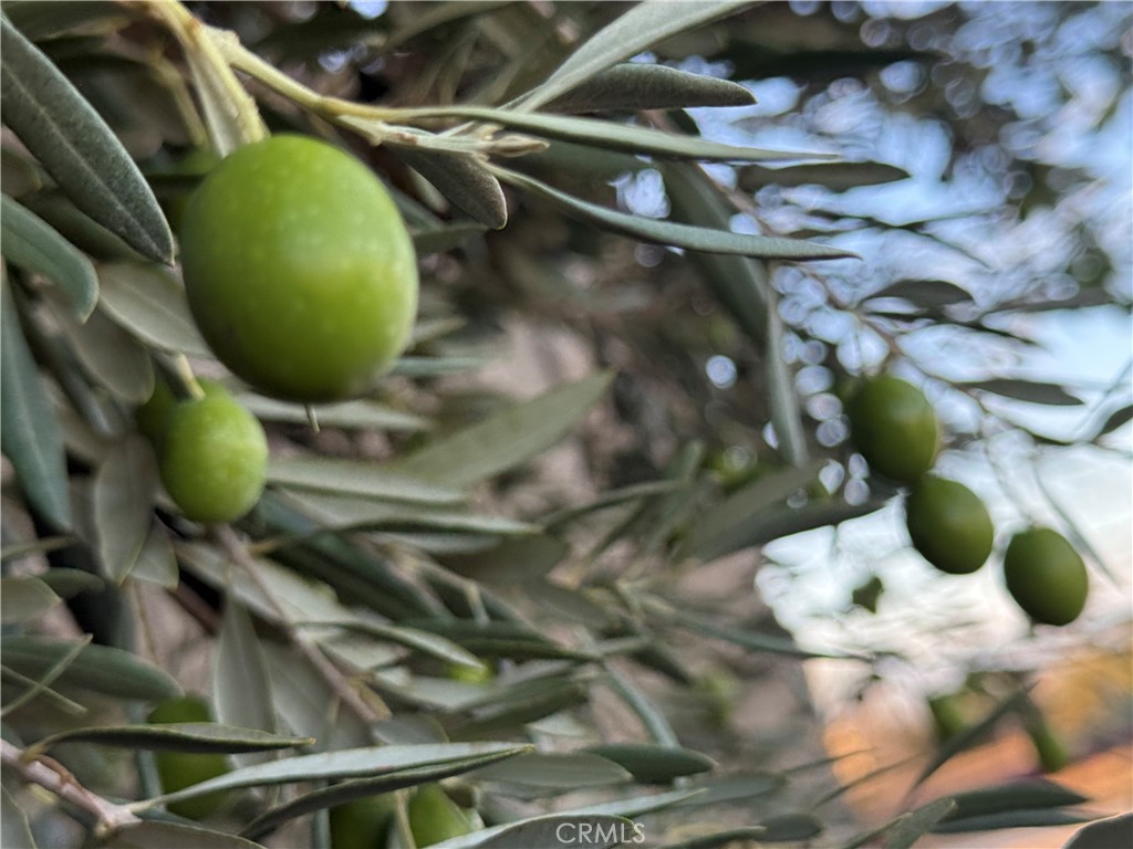 MLS #SR25223287 image #38