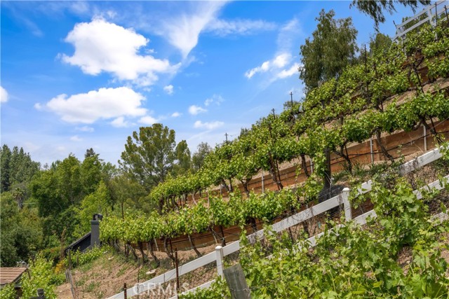 MLS #SR25223370 image #35