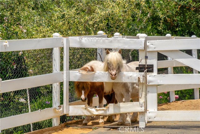 MLS #SR25223370 image #38