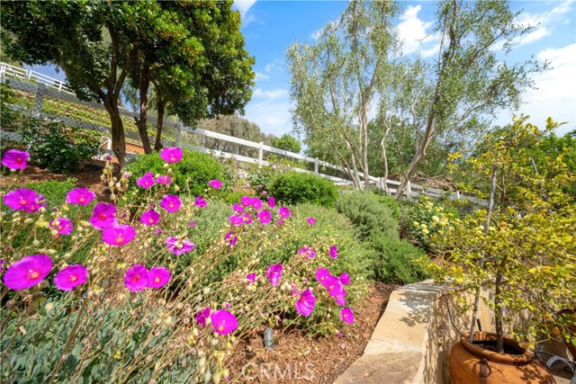 MLS #SR25223370 image #44