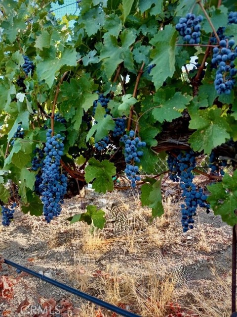 MLS #SR25223370 image #45