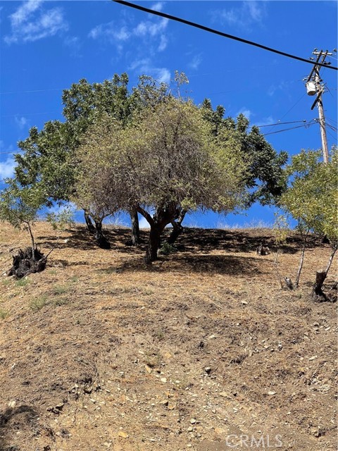 MLS #SR25224956 image #10