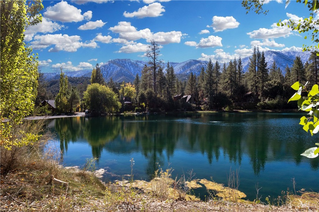 MLS #SR25225635 image #59