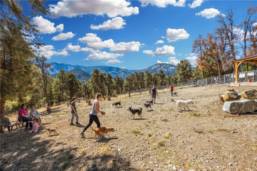 MLS #SR25225635 image #65