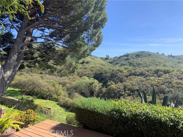 MLS #SR25225736 image #28