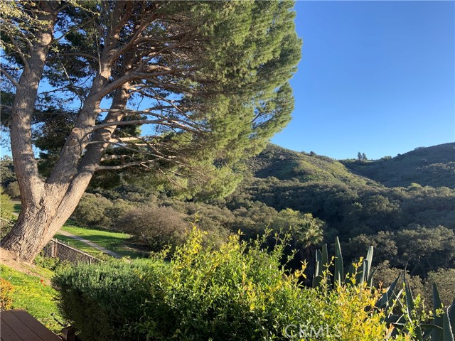 MLS #SR25225736 image #4