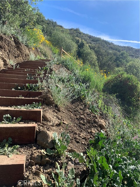 MLS #SR25225736 image #43