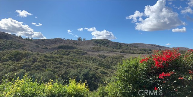 MLS #SR25225736 image #46