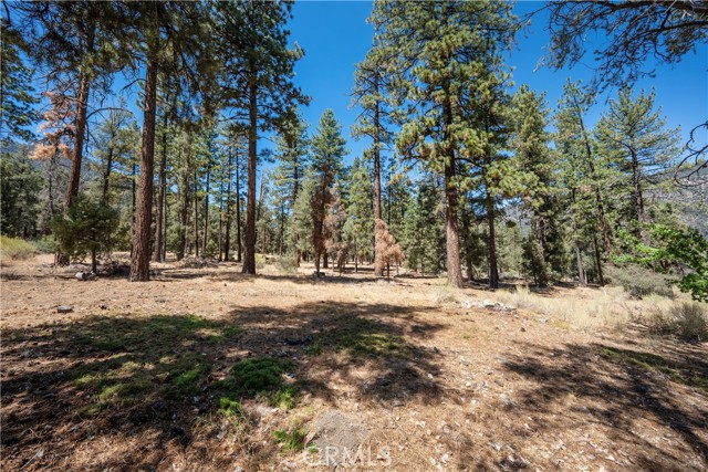 MLS #SR25226578 image #35