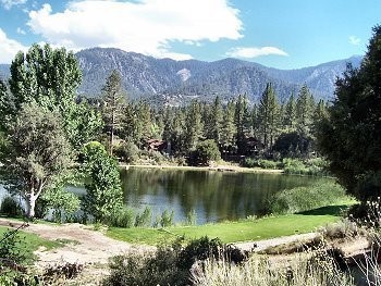 MLS #SR25227741 image #34