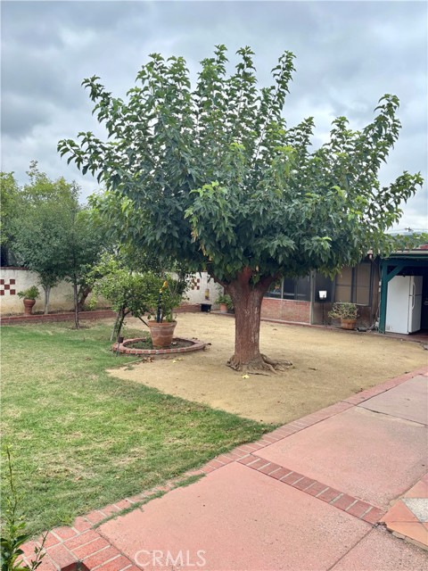 MLS #SR25227908 image #10